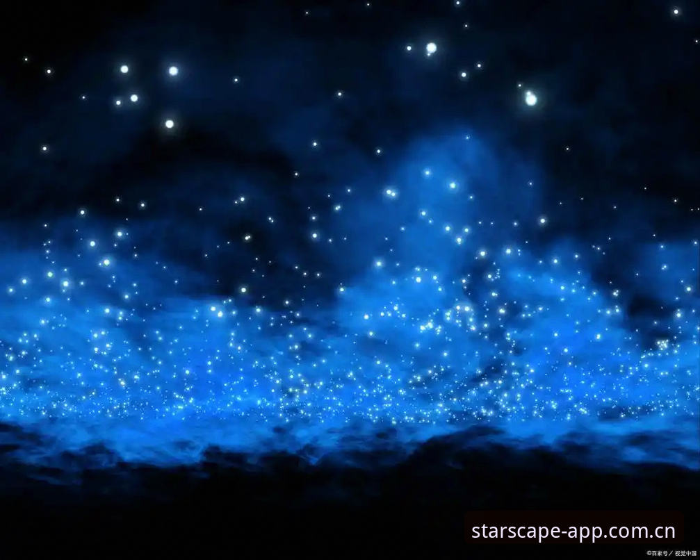 别踩坑！星空中国官网入口的实用避雷指南